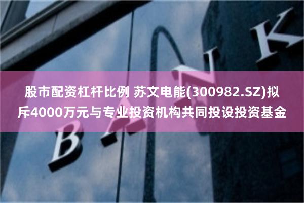 股市配资杠杆比例 苏文电能(300982.SZ)拟斥4000万元与专业投资机构共同投设投资基金