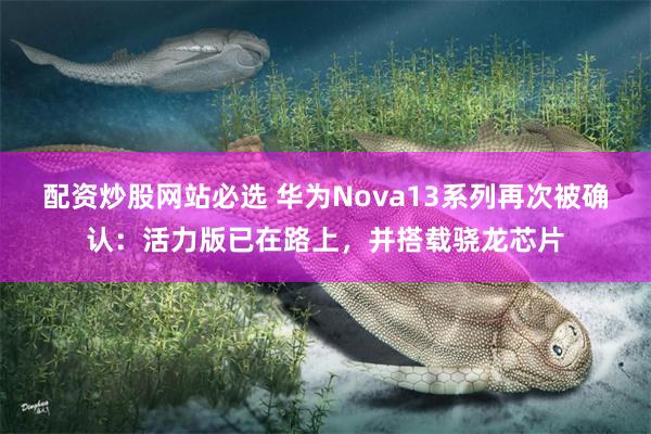 配资炒股网站必选 华为Nova13系列再次被确认：活力版已在路上，并搭载骁龙芯片