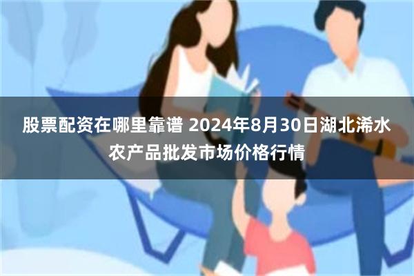 股票配资在哪里靠谱 2024年8月30日湖北浠水农产品批发市场价格行情