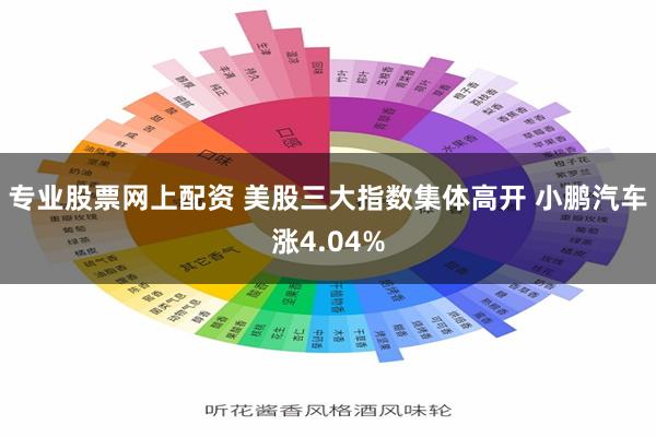 专业股票网上配资 美股三大指数集体高开 小鹏汽车涨4.04%