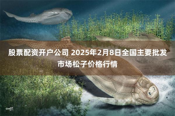 股票配资开户公司 2025年2月8日全国主要批发市场松子价格行情